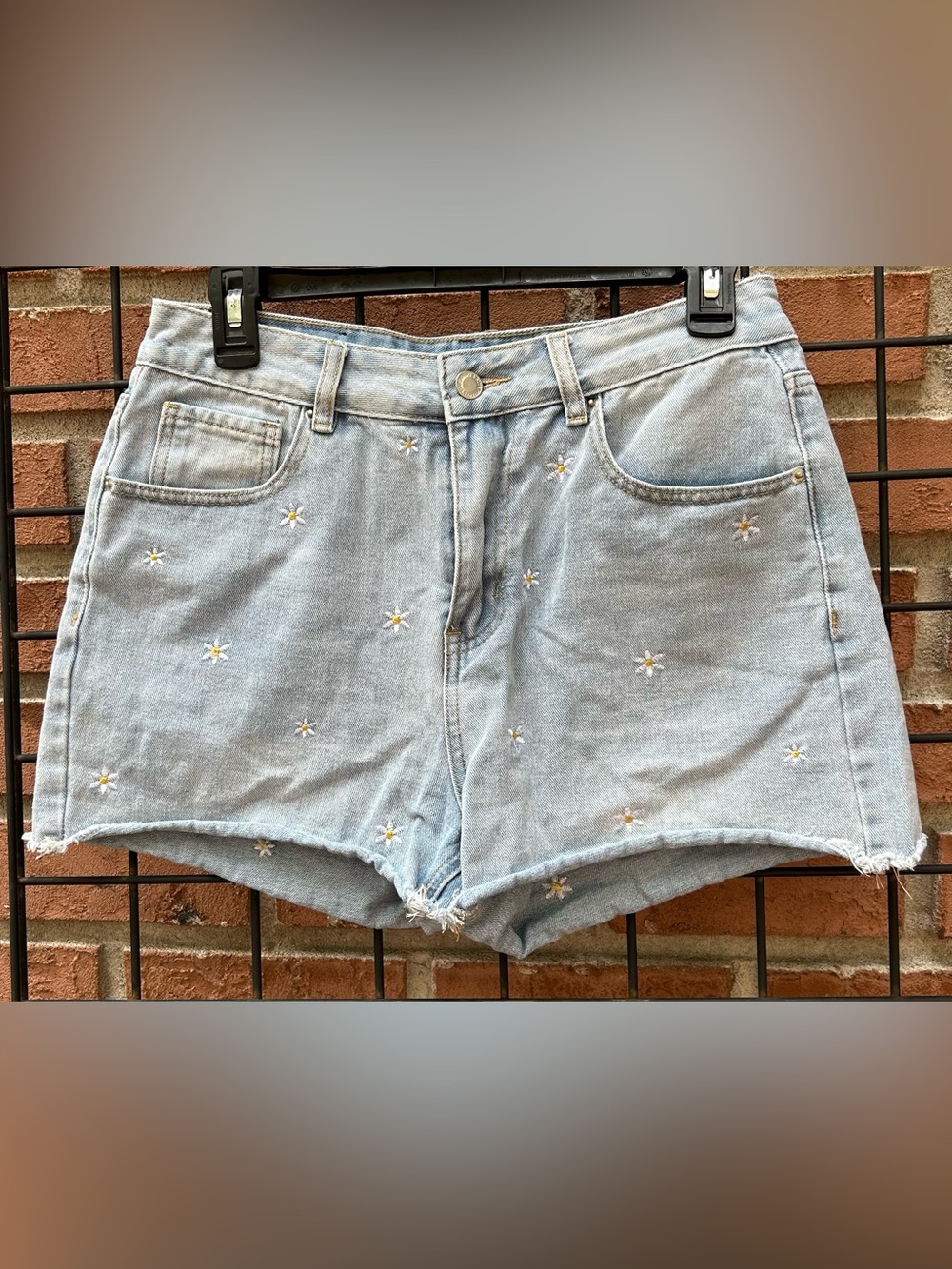 Embroidered Light Blue Denim Daisy Jean Shorts